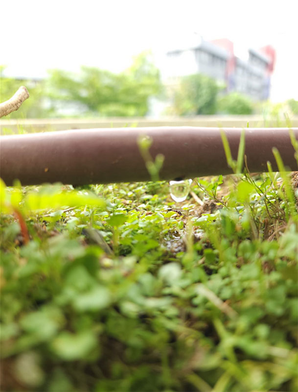 smart irrigation